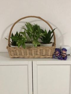 (Category: ) located in . Submitted by cheryl_yee (Listing ID 1119749800, Image 1). Description: .