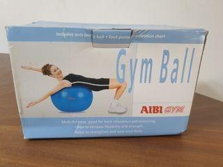 Aibi Gym ball