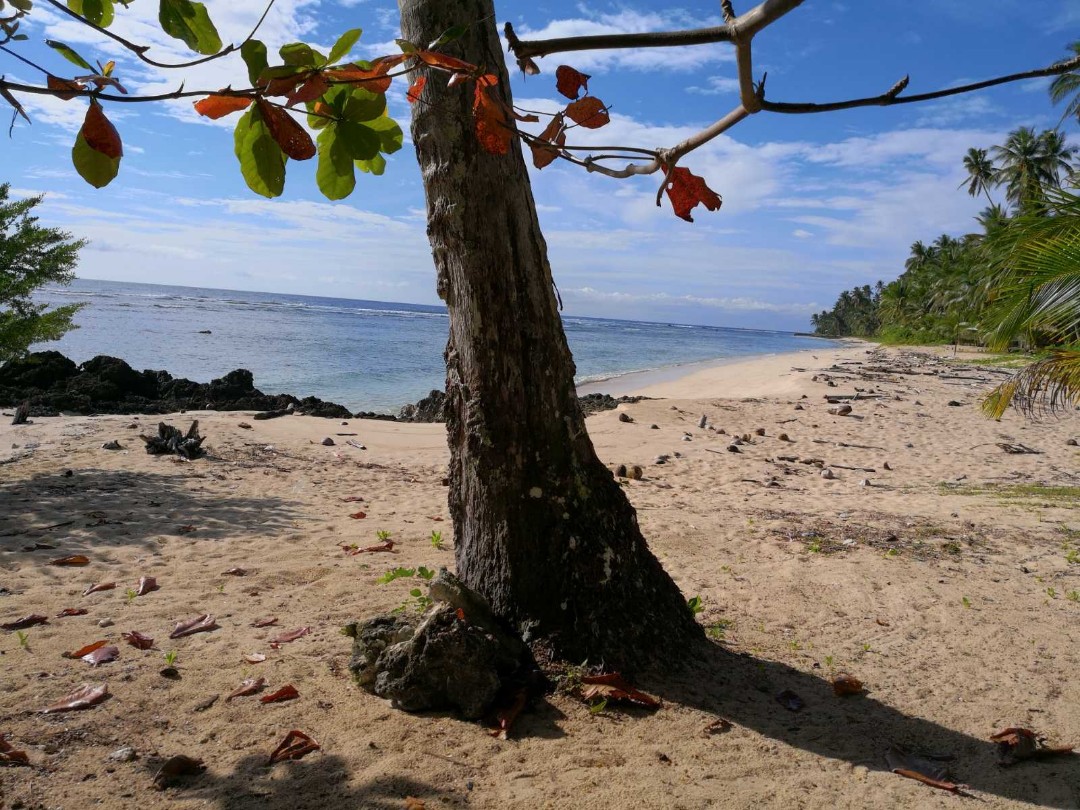 Beach front Baganga, Davao Oriental, Property, For Sale, Lot on Carousell