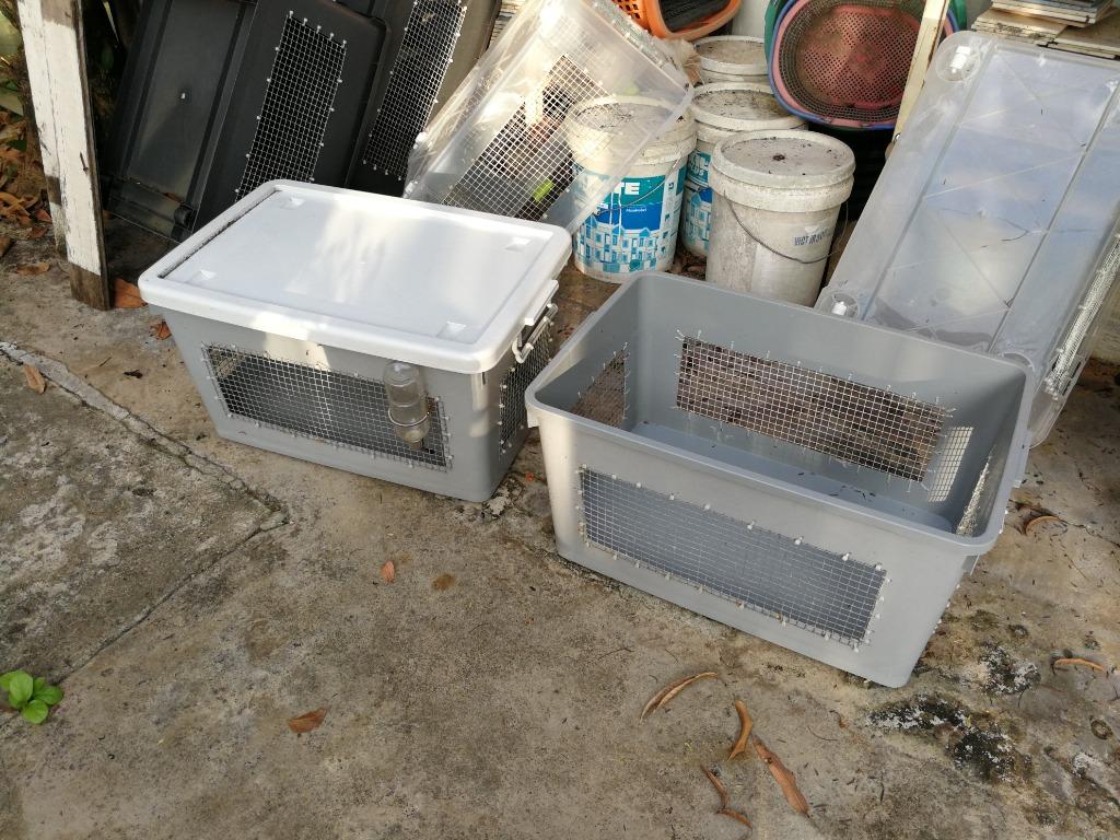 Plastic Hedgehog Cage