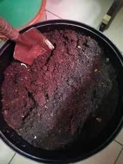Home made compost soil