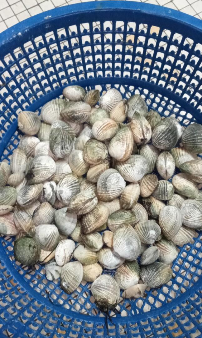 kerang Lala, Food & Drinks, Food & Drinks Others on Carousell