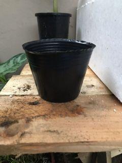Plastic pot nursery pot