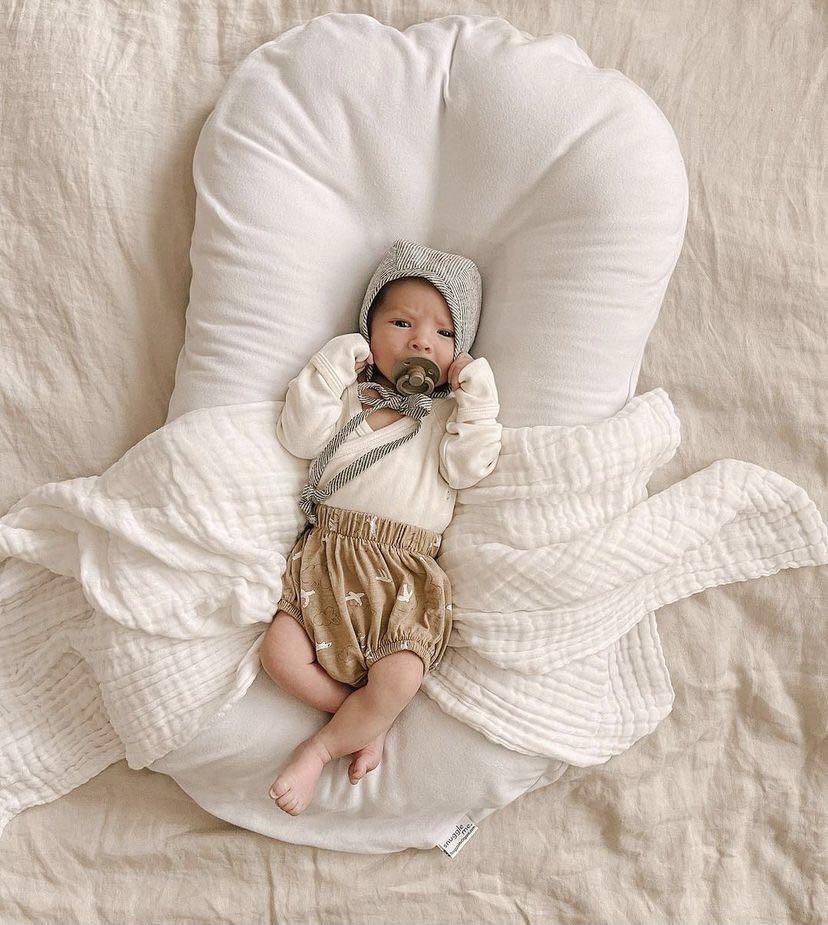 snuggle me bedside sleeper