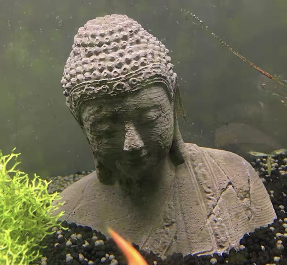 buddha fish tank