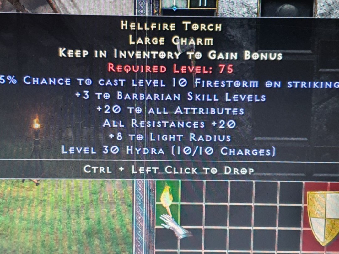 Barbarian HellFire Torch Large Charm ((Perfect)) Diablo 2 Resurrected