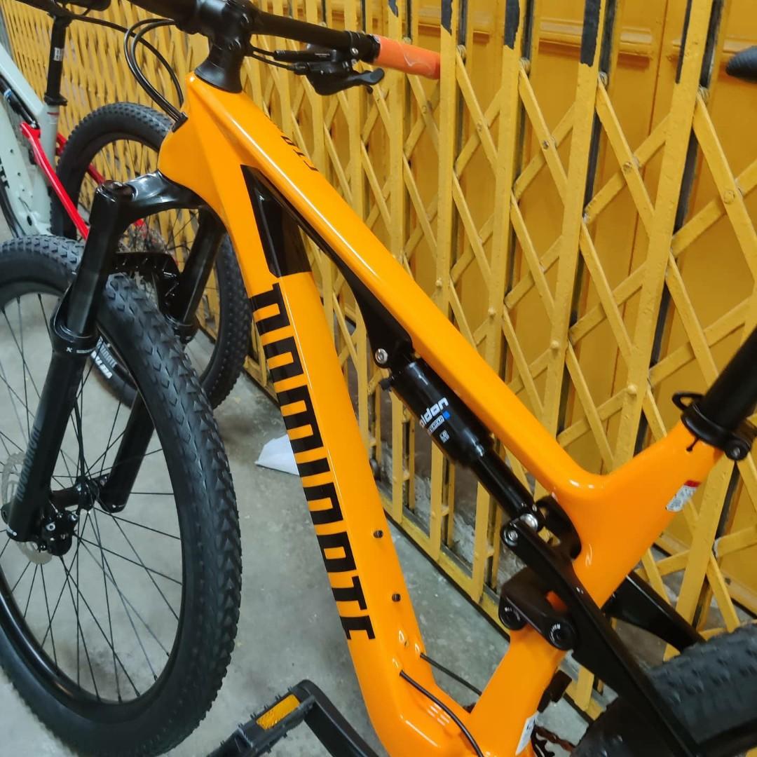 frame dominate carbon