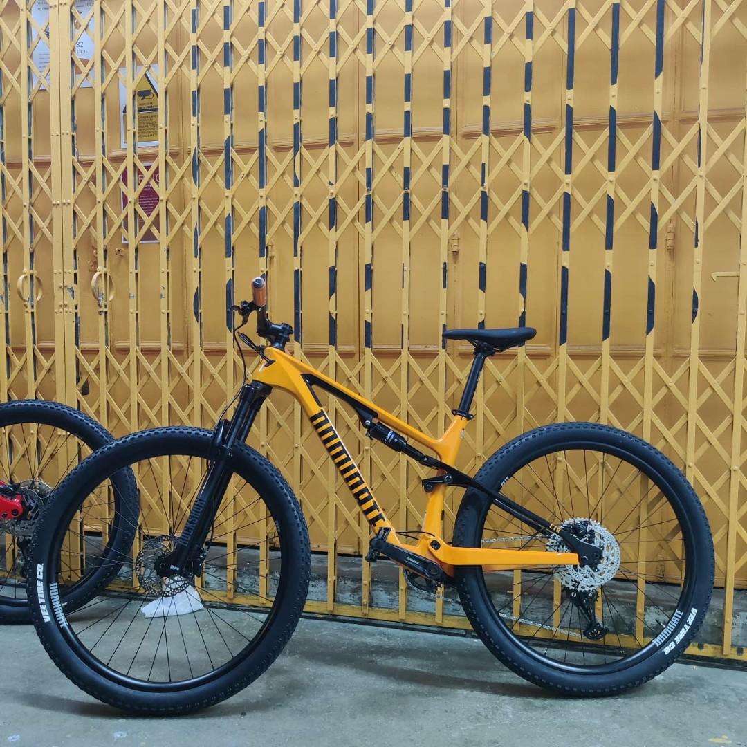 Frame dominate carbon 2025