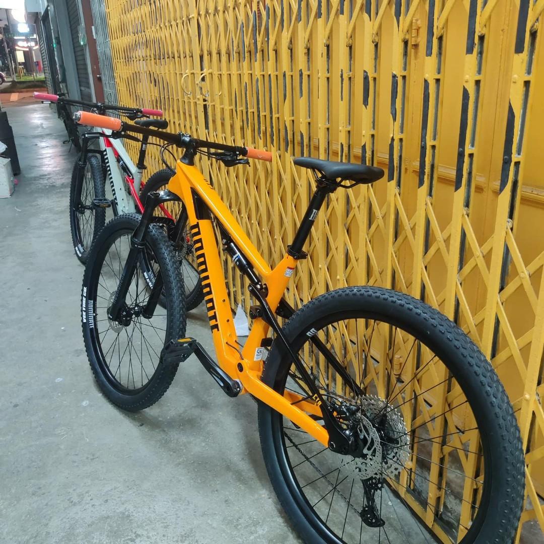 frame dominate carbon