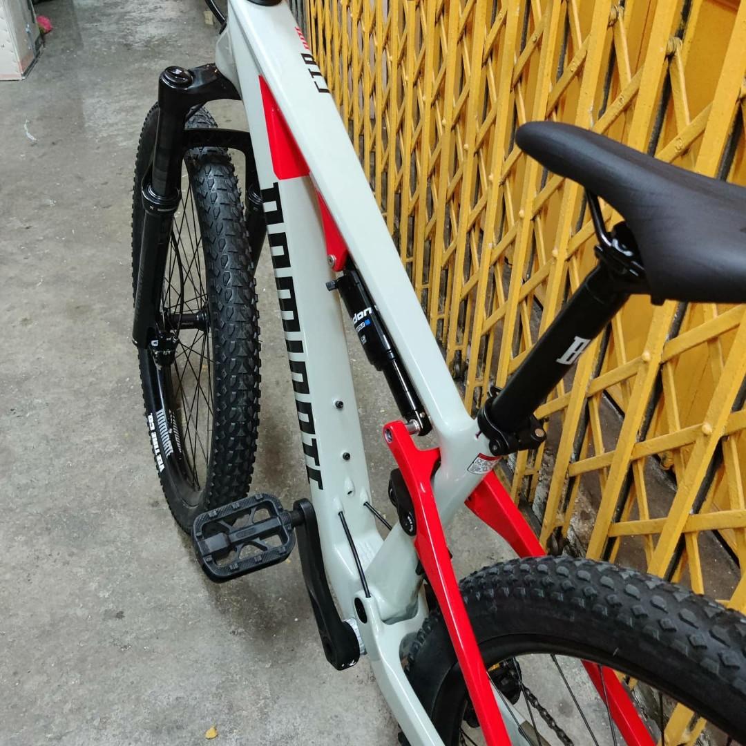 frame dominate carbon