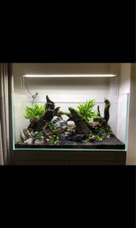 (Category: ) located in . Submitted by bongchini (Listing ID 1119865985, Image 1). Description: .