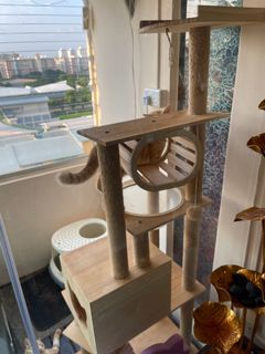 (Category: ) located in . Submitted by raudah07 (Listing ID 1119807865, Image 1). Description: .