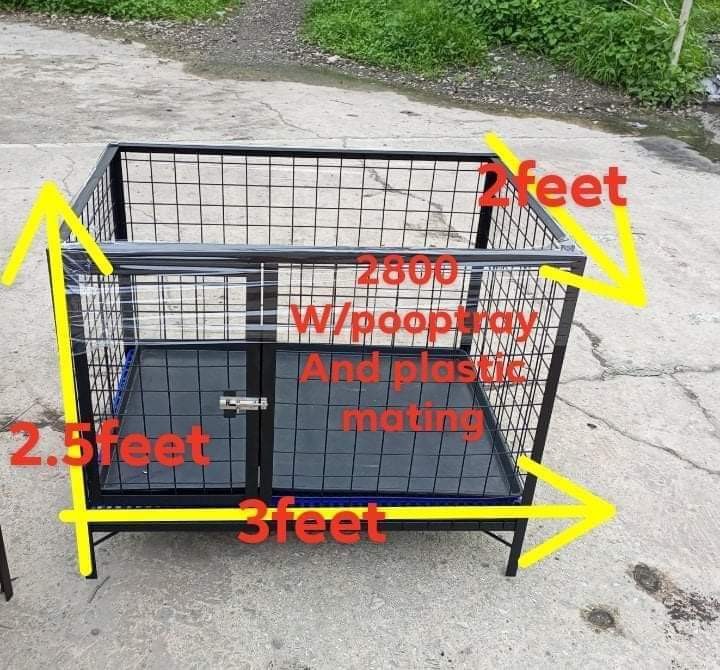 Dog cage Crib type Pet Supplies Homes Other Pet Accessories on Carousell