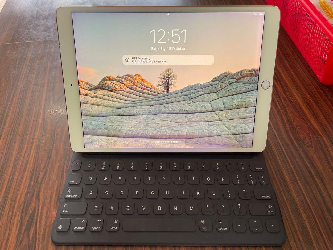 iPad Pro 10.5 WiFi + Cellular Rose Gold 256GB with Pencil and ...