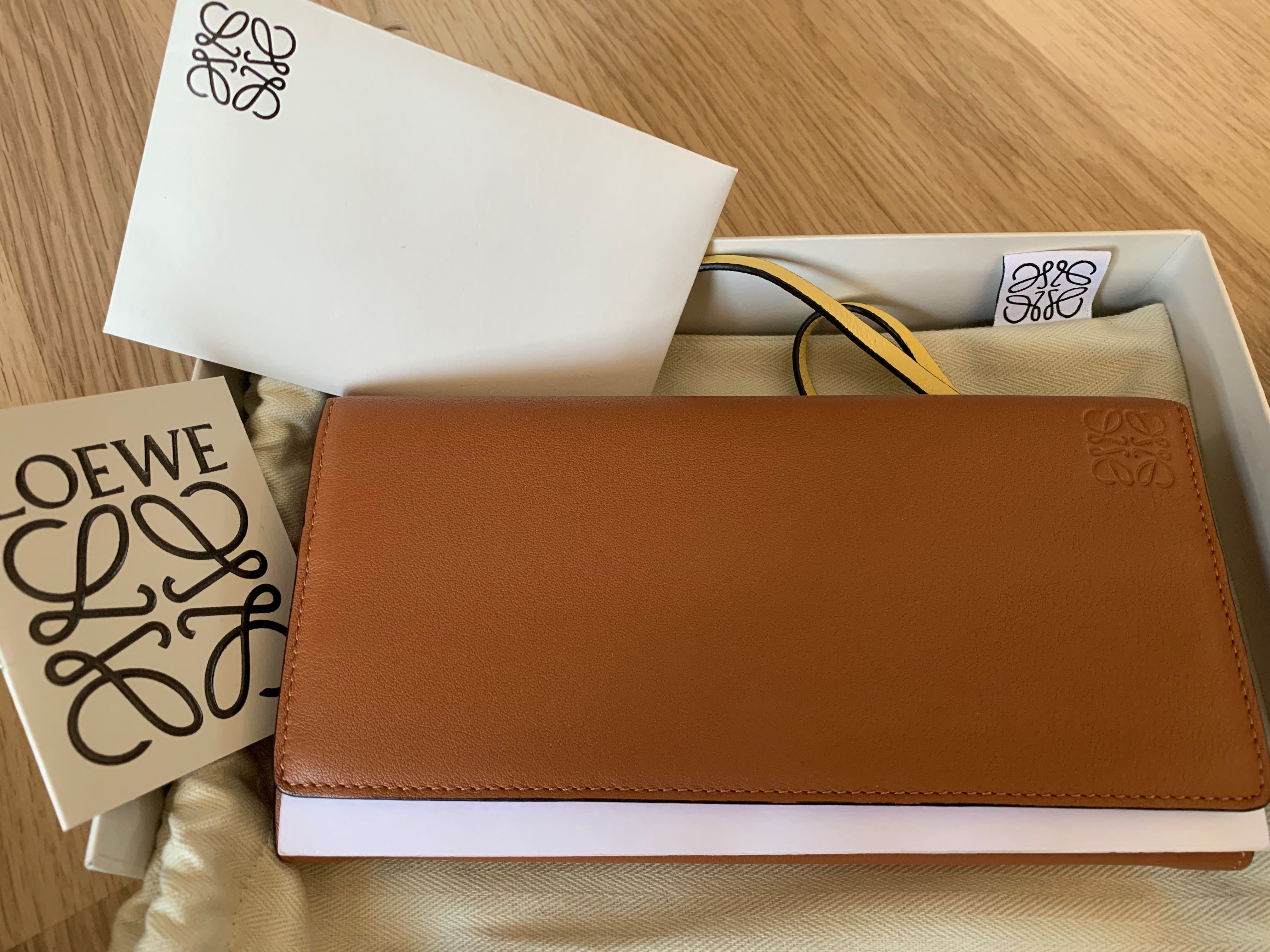 Loewe Rainbow Long Wallet Carousell