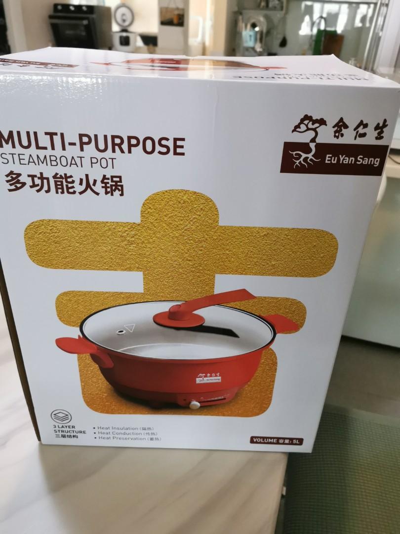 Multi Purpose steamboat pot by EYS, TV & Home Appliances, Kitchen