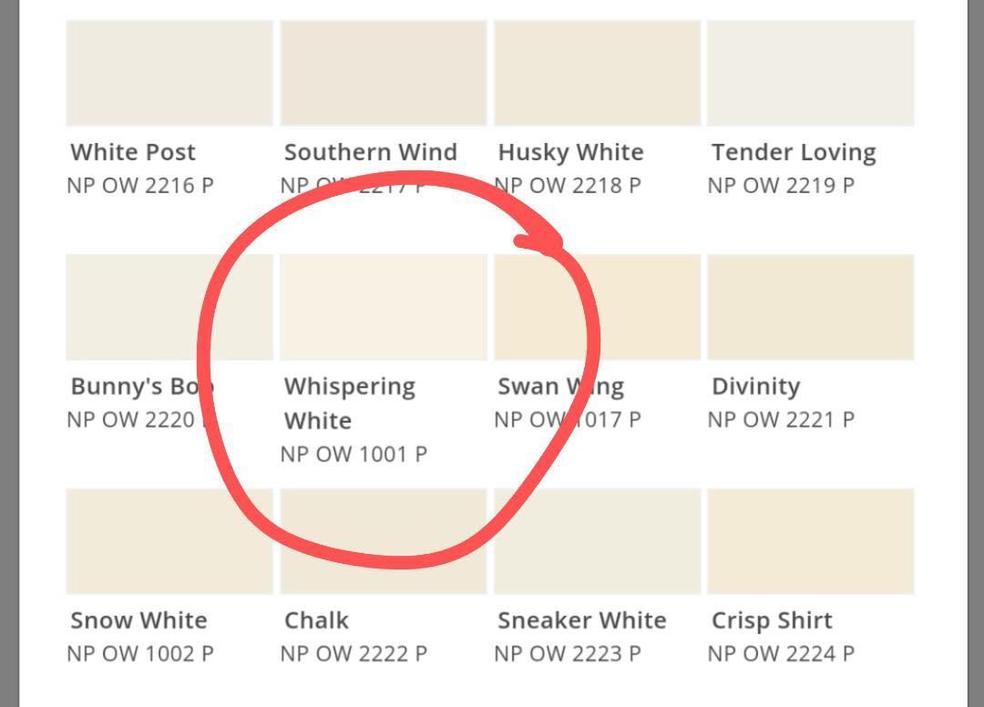 Nippon Paint Bodelac 9000 Whispering White 1 Litre, Furniture & Home