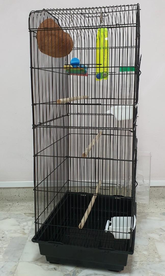 Big Black Bird Cage, Pet Supplies, Homes & Other Pet Accessories on