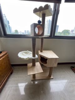 (Category: ) located in . Submitted by louise79 (Listing ID 1119440302, Image 1). Description: .