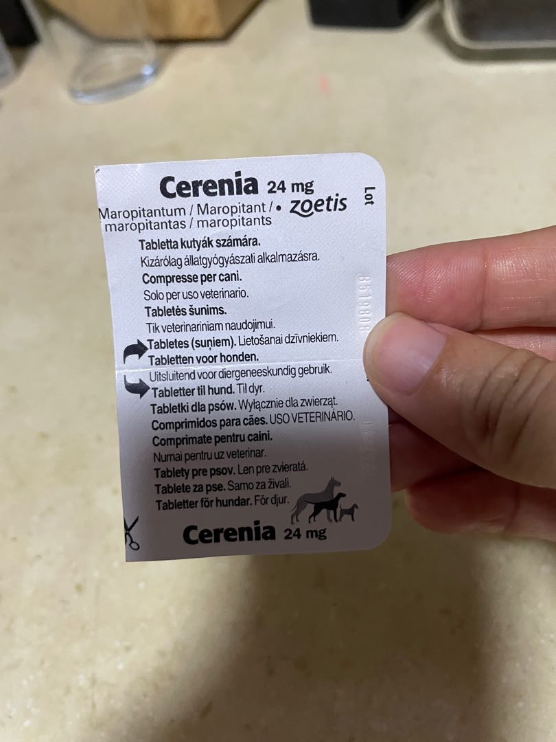 arbejdsløshed lave et eksperiment Korridor Free - Cerenia (24mg) Maropitant 2x Oral tablet, Pet Supplies, Health &  Grooming on Carousell