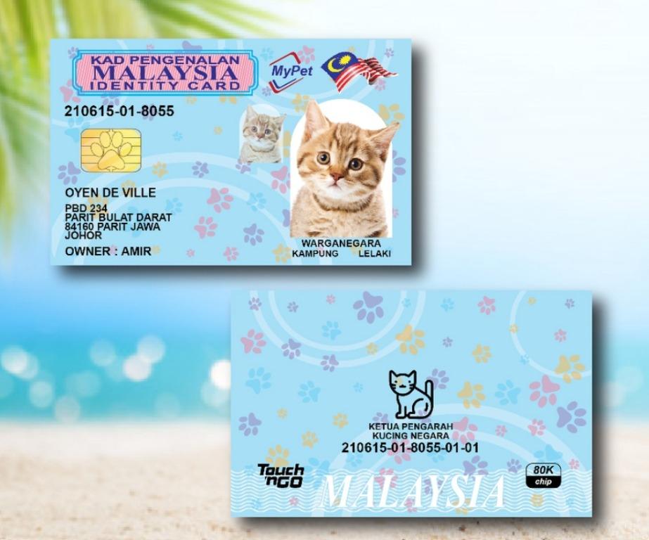 Kad Pengenalan Mykad ID IC Kucing Anjing Pets [FREE SHIPPING], Pet
