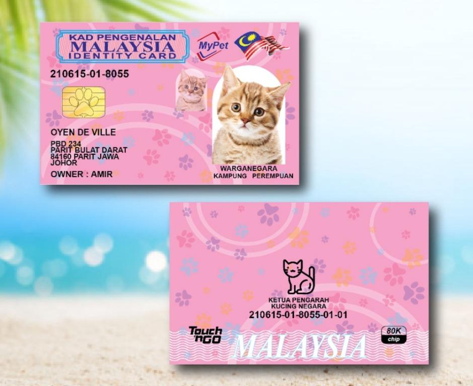 Kad Pengenalan Mykad ID IC Kucing Anjing Pets [FREE SHIPPING], Pet 