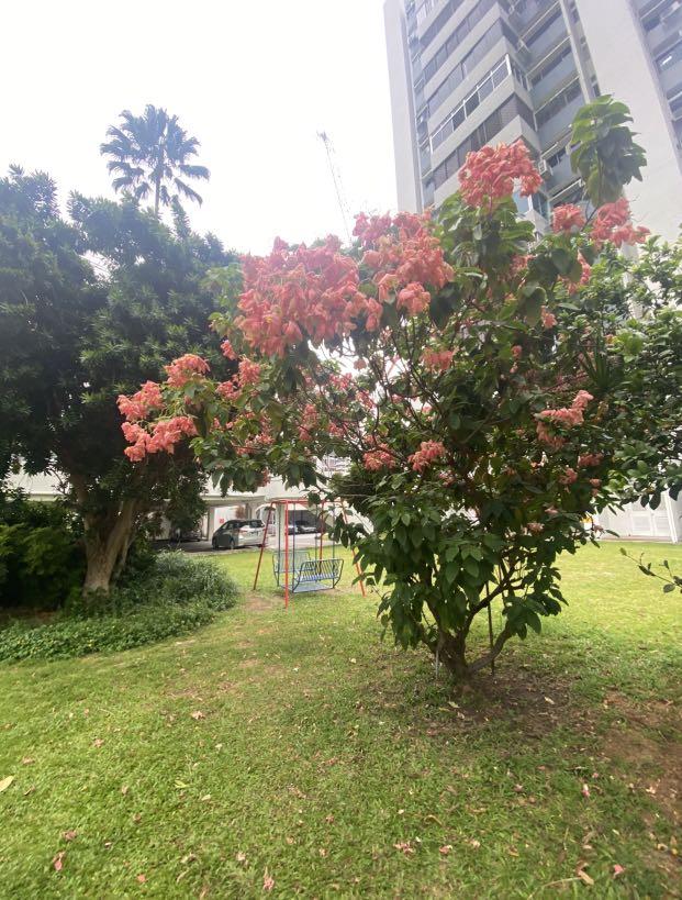 King's Mansion at East Coast Common Room, Property, Rentals, Room