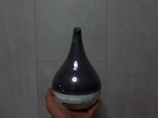(Category: ) located in . Submitted by wackwande (Listing ID 1120169567, Image 1). Description: .