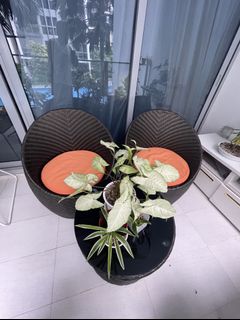 (Category: ) located in . Submitted by rejoice.devera (Listing ID 1115710468, Image 1). Description: .