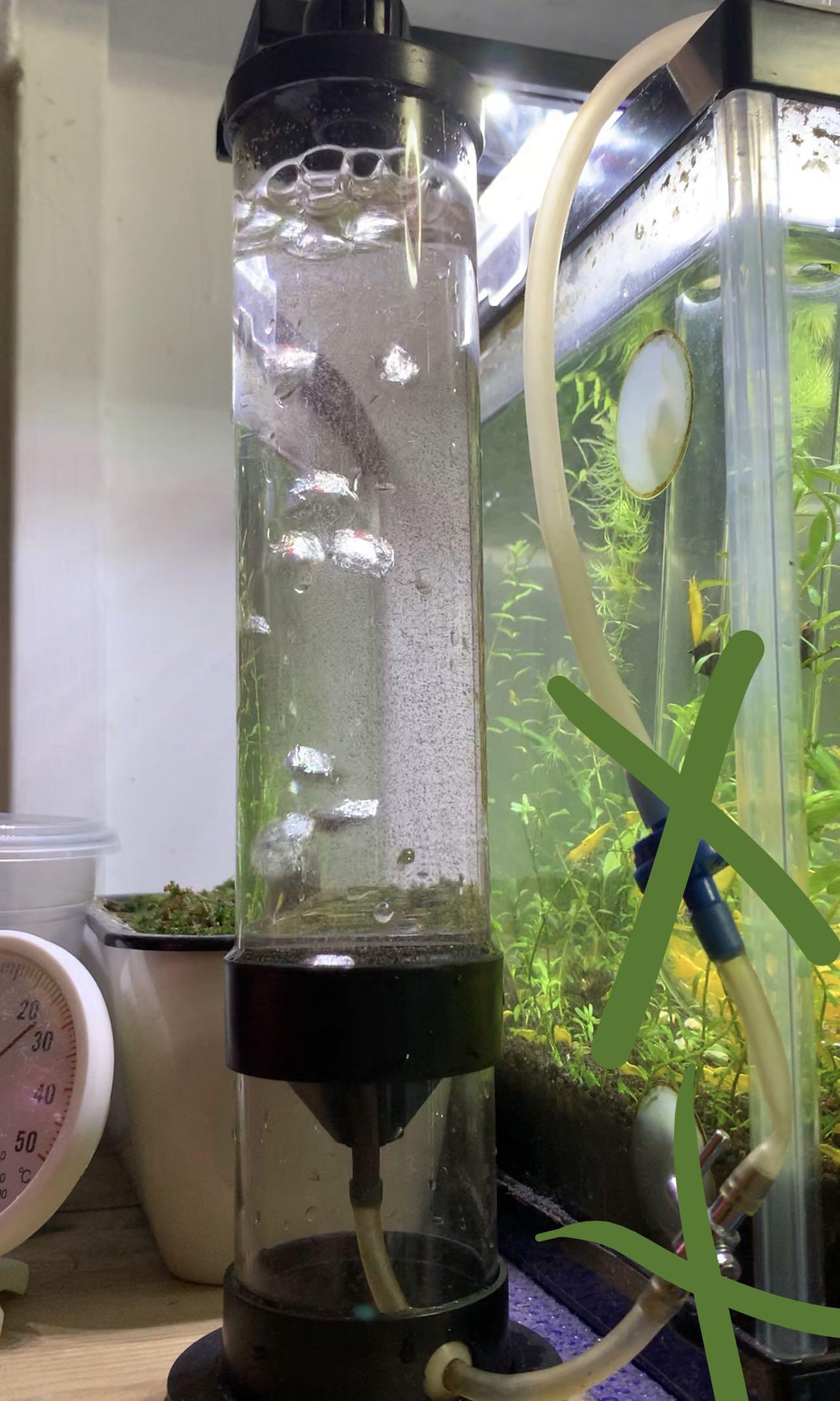 Continuous brine shrimp hatchery aquarium top