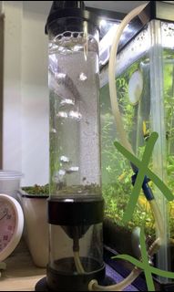 (Category: ) located in . Submitted by fullysubmerged (Listing ID 1120384210, Image 1). Description: .