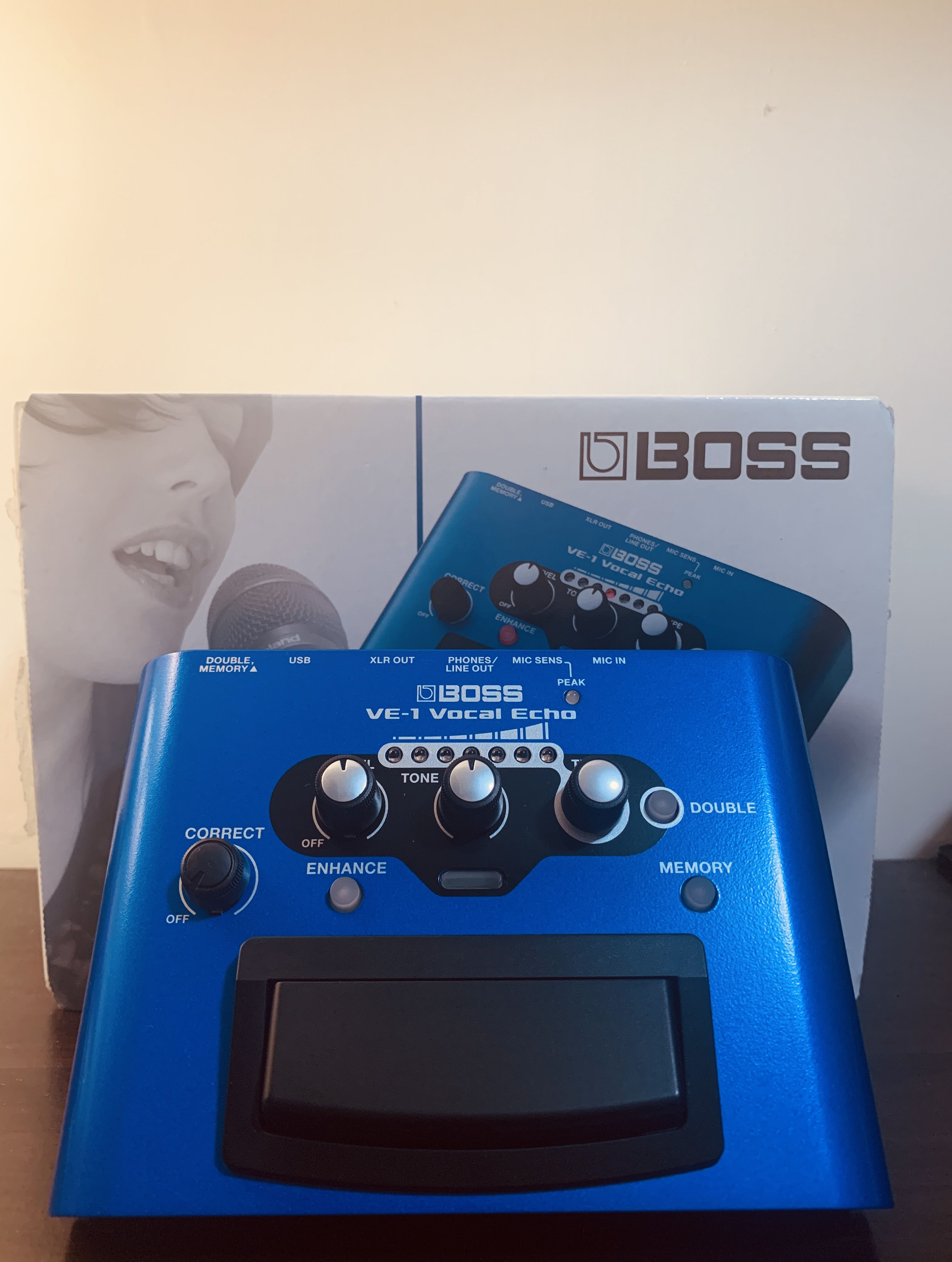 Boss VE-1 人聲效果器, 興趣及遊戲, 音樂, 樂器在旋轉拍賣