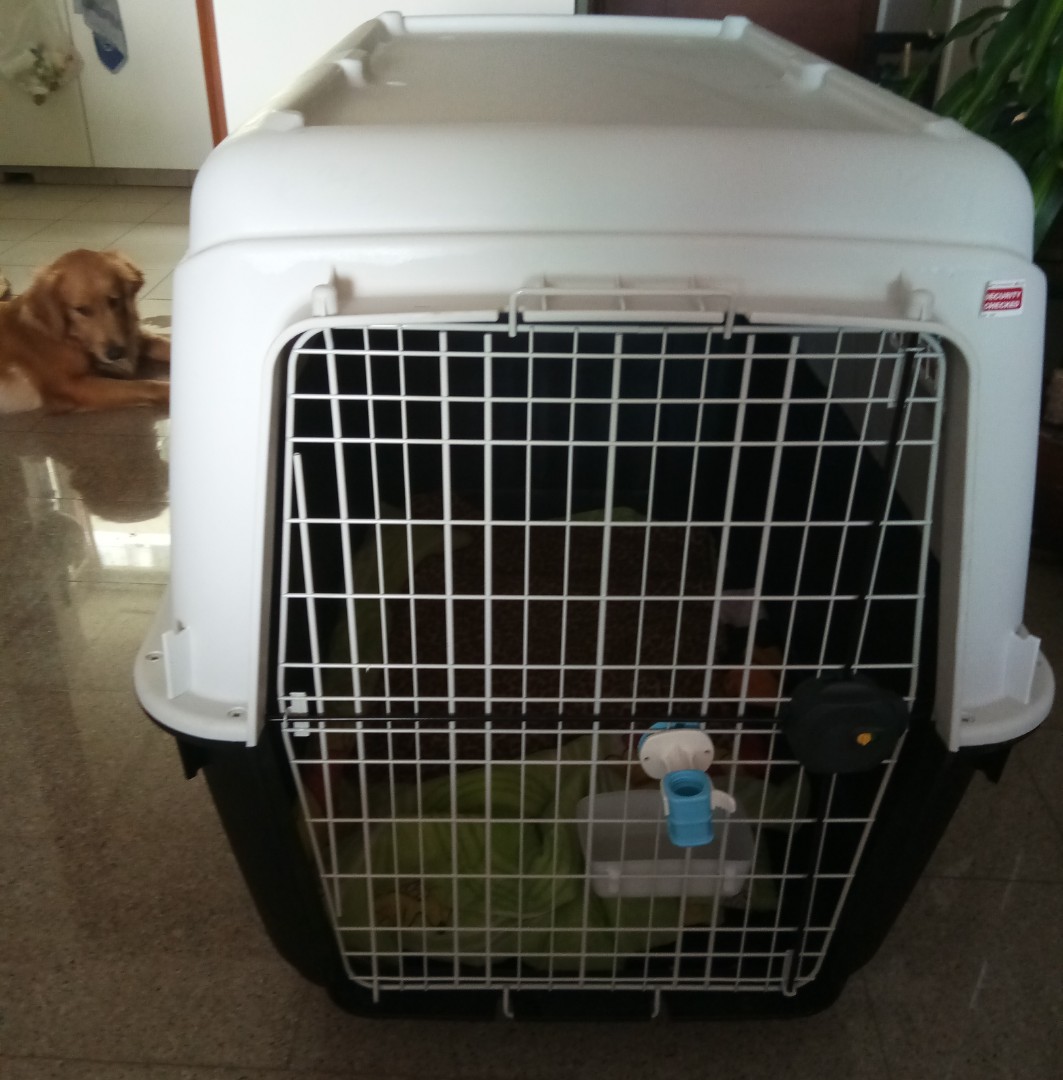 Large XL size crate, IATA approved, Pet Supplies, Homes & Other Pet