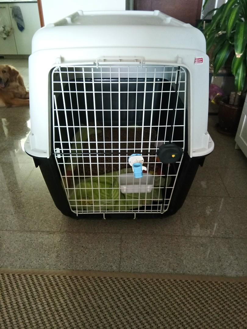 Large XL size crate, IATA approved, Pet Supplies, Homes & Other Pet