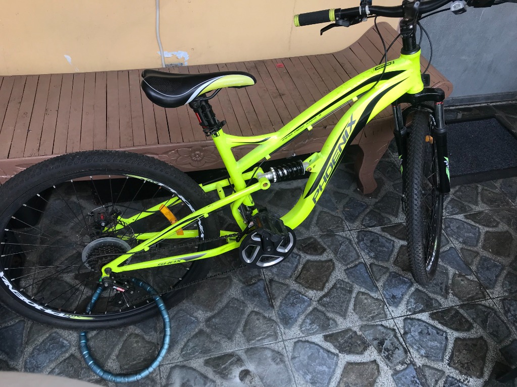 Phoenix Mountain Bike Motorbikes Motorbikes for Sale on Carousell