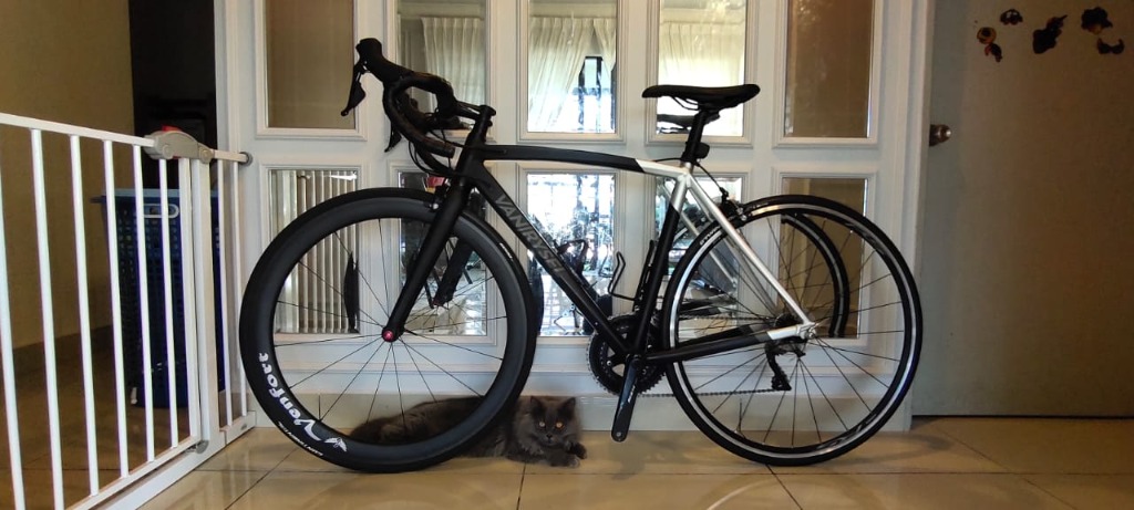 Van rysel rr 900 af road bike online