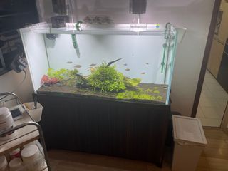 (Category: ) located in . Submitted by cheeboonyong (Listing ID 1120544547, Image 1). Description: .