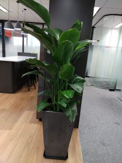 （分類：）位於 。 由 beanbean987 提交（商品編號 1120460263，圖片 1）。簡介： 。