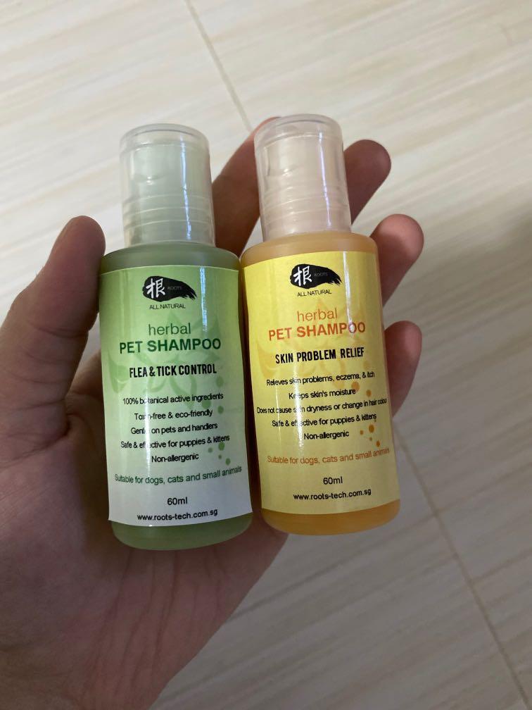 Free dog shampoo sample, Pet Supplies, Health & Grooming on Carousell