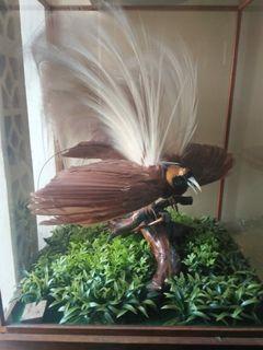 Pajangan burung cendrawasih