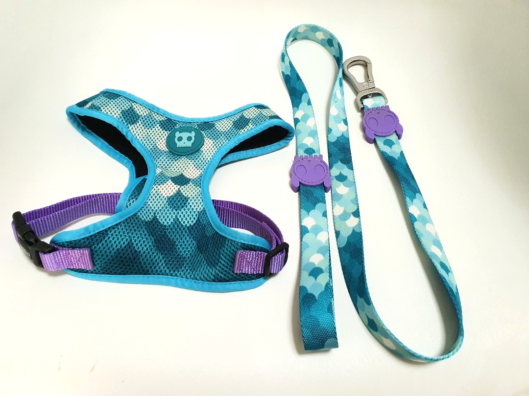 Zee Dog Harness and Leash Set, Pet Supplies, Homes & Other Pet