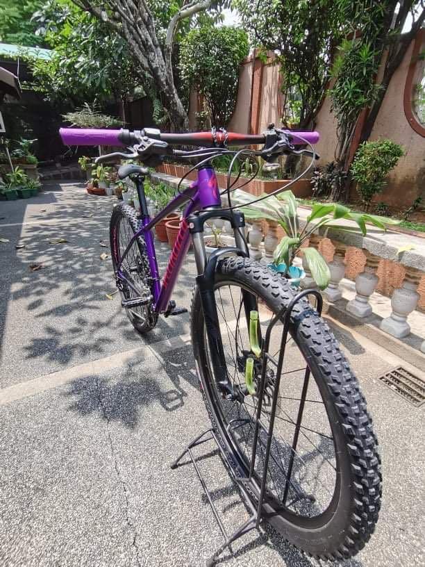 2019 rockhopper expert hot sale