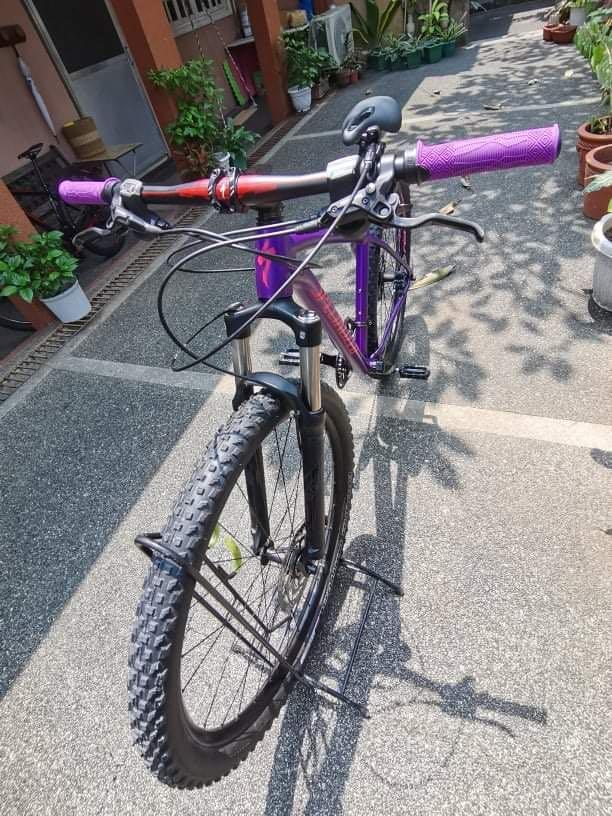 2019 Specialized Rockhopper Expert 29er Sports Equipment