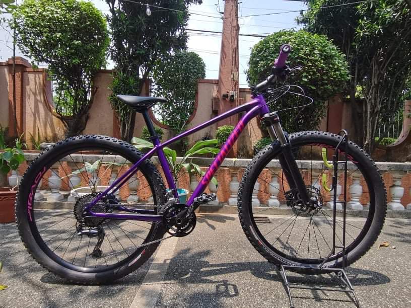 2019 specialized rockhopper expert