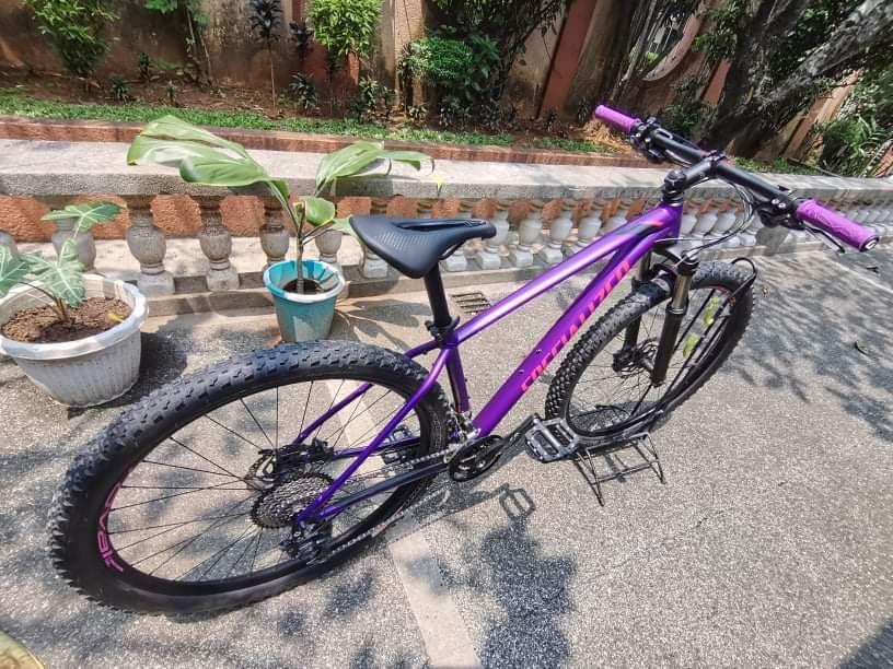 2019 specialized hotsell rockhopper expert