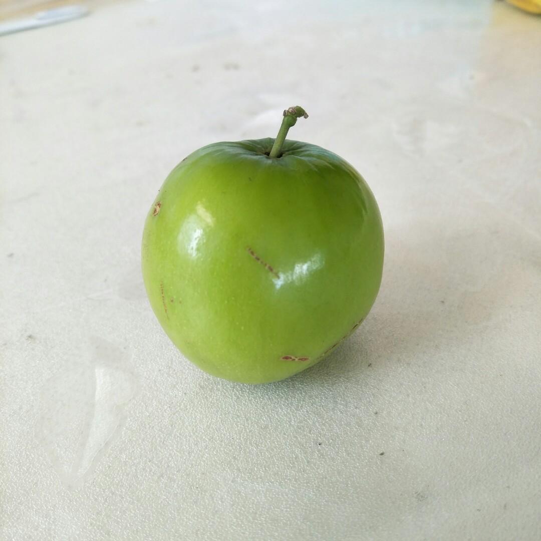 Apple green baby hotsell jujube