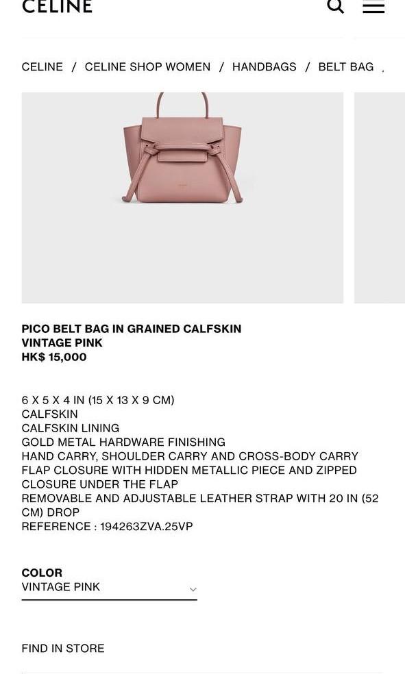 the pico bag by celine – Style Rotate