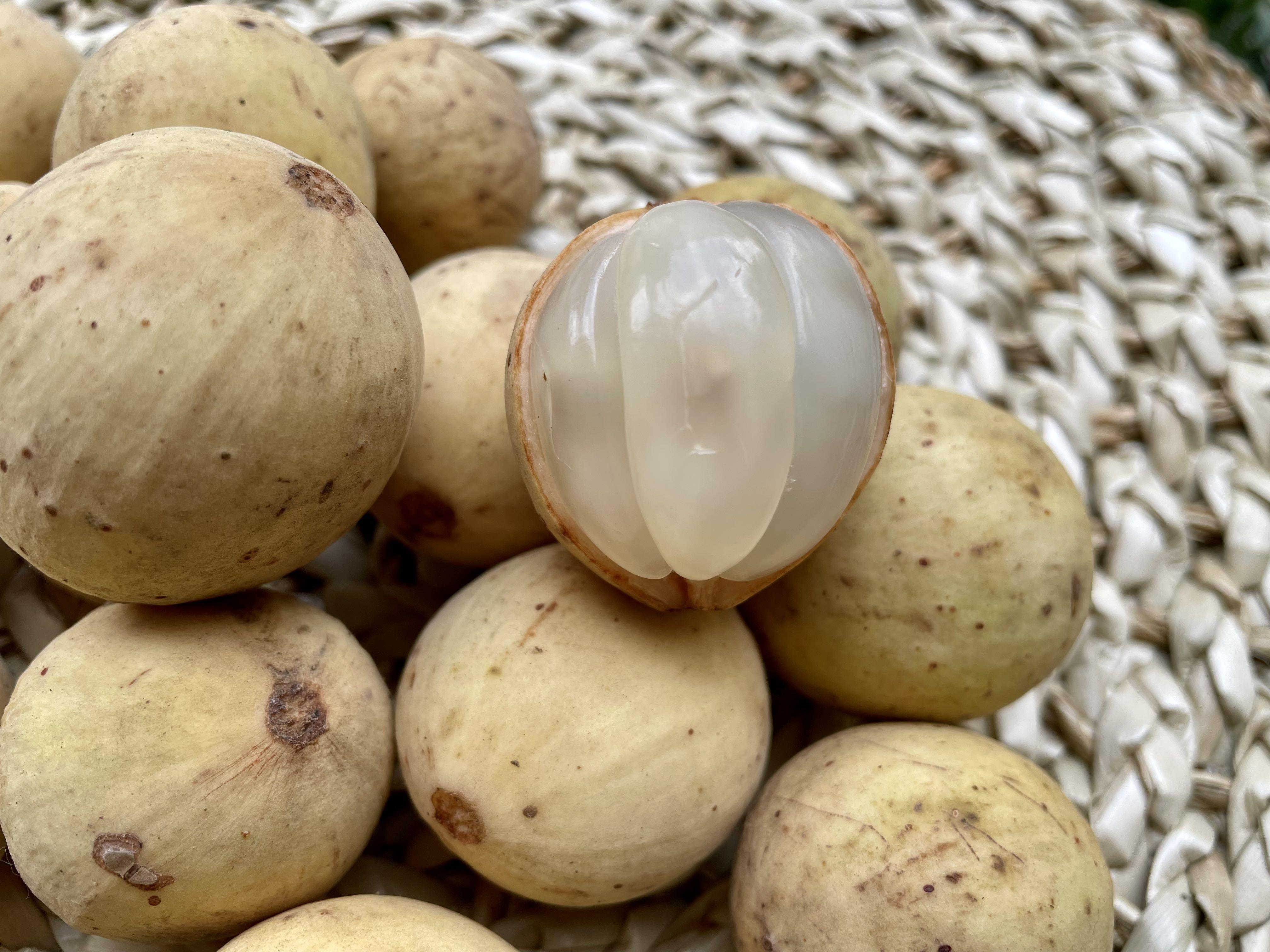 Duco Lanzones (Category: Fresh Produce) located in Quezon City. Submitted by shopgood_mnl (Listing ID 1117041606, Image 1). Description: Duco lanzones for only P270/kilo. Pickup/delivery from Pasig City..