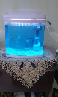 (Category: ) located in . Submitted by azyana30 (Listing ID 1117147041, Image 1). Description: .
