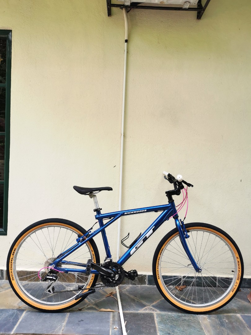 gt backwoods sport mountain bike